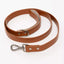 Sierra Sunrise Vegan Leather Dog Leash Sequoia Leash Aria the Fox
