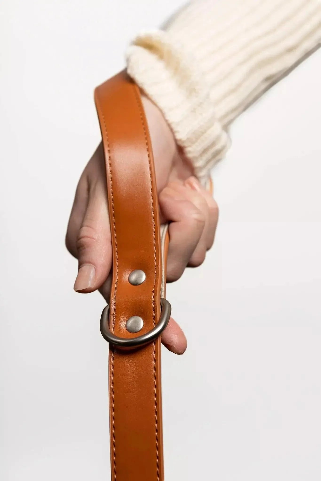 Sierra Sunrise Vegan Leather Dog Leash Leash Aria the Fox