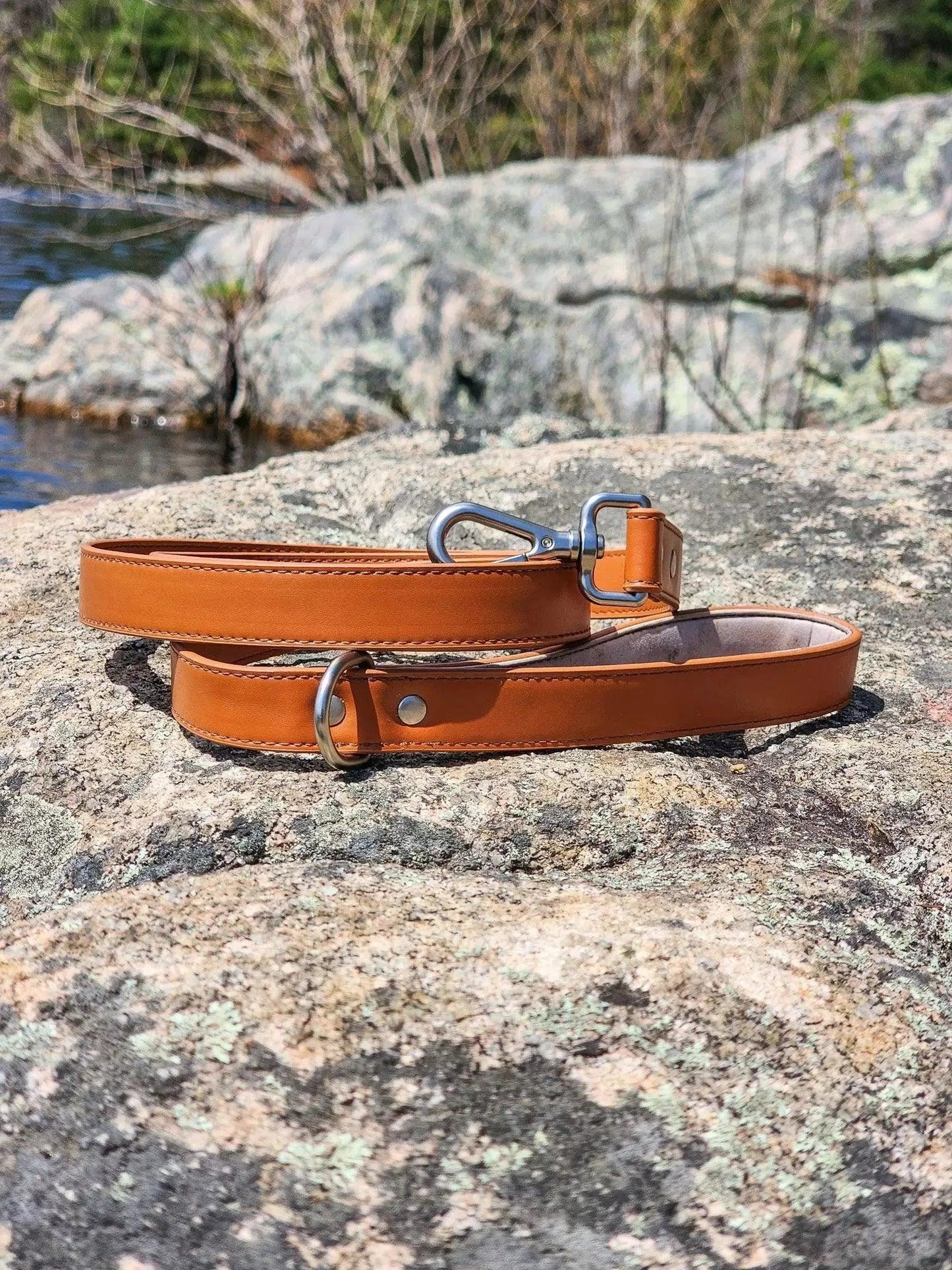 Sierra Sunrise Vegan Leather Dog Leash Leash Aria the Fox