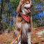 Sierra Sunrise Vegan Leather Dog Leash Leash Aria the Fox