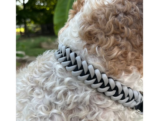 Fishtail Hand Braided Dog Collar in Black & Smoke Handmade Braided Collars Pawsh Pup Co.