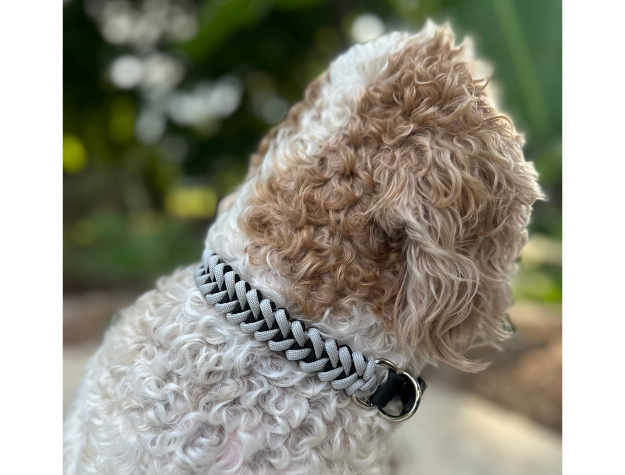 Fishtail Hand Braided Dog Collar in Black & Smoke Handmade Braided Collars Pawsh Pup Co.