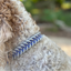 Fishtail Hand Braided Dog Collar in Lavender & Smoke Handmade Braided Collars Pawsh Pup Co.