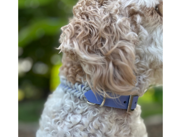 Fishtail Hand Braided Dog Collar in Lavender & Smoke Handmade Braided Collars Pawsh Pup Co.