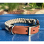 Fishtail Hand Braided Dog Collar in Tan & Cream Handmade Braided Collars Pawsh Pup Co.