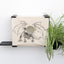 Deluxe Cat Cubby Bed Onyx Bamboo Baby Dragon Planter Catastrophic Creations
