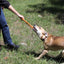 Pop Top Rubber Tug Toy for Interactive Play | Heavy Chewers | USA Made | SodaPup Rubber Dog Toys SodaPup/True Dogs, LLC
