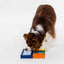 Pawzler Set - Smarty Enrichment Product SwiftPaws