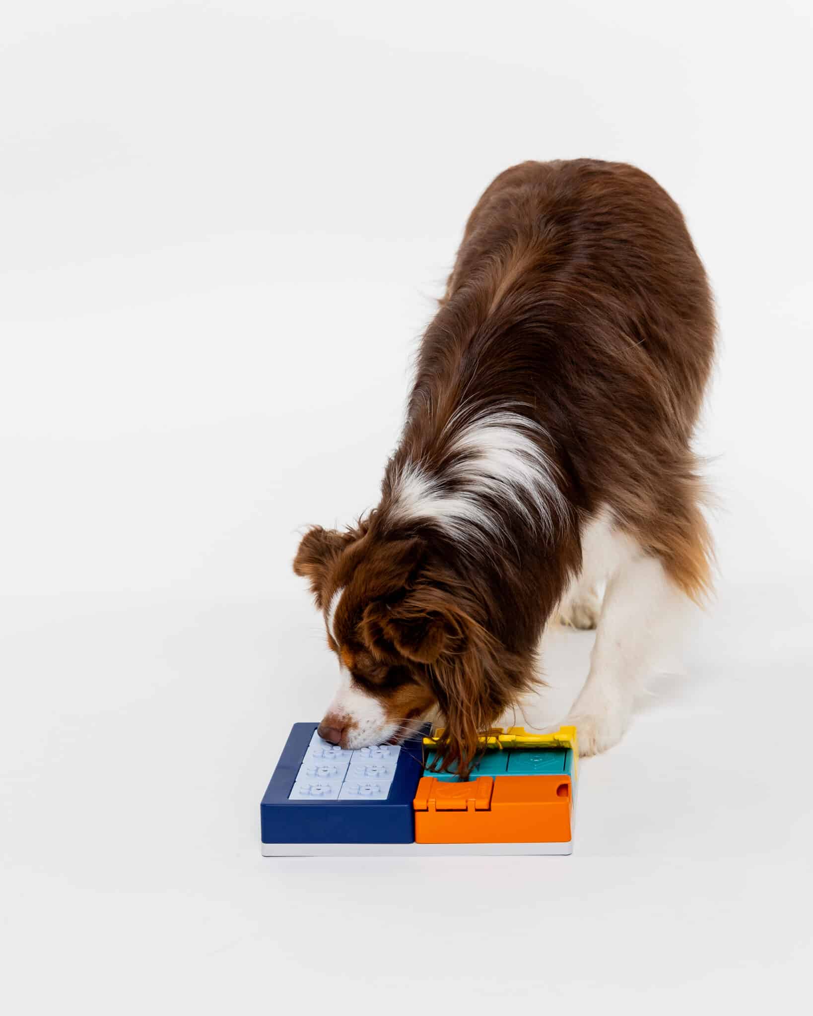 Pawzler Set - Smarty Enrichment Product SwiftPaws