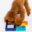 Pawzler Set - Smarty Enrichment Product SwiftPaws