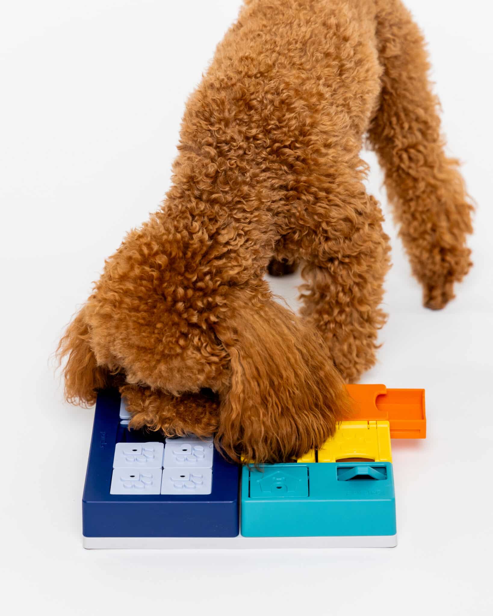 Pawzler Set - Smarty Enrichment Product SwiftPaws
