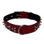 Leather + Nylon Spiked Dog Collar Dog Collars Dogline