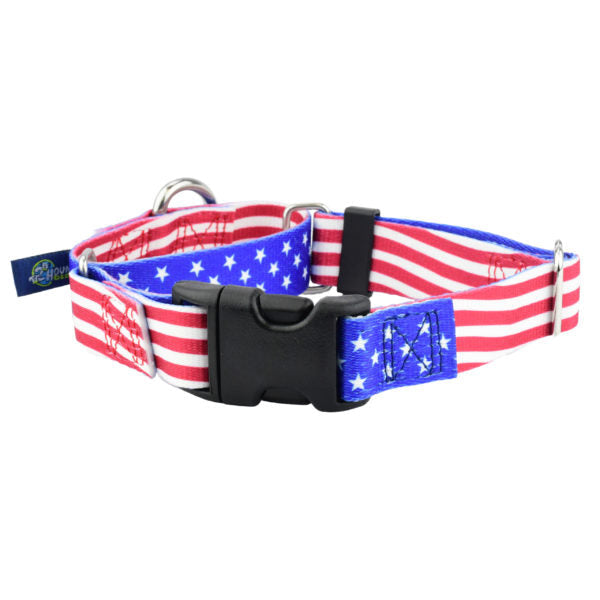 Star Spangled Buckle Martingale Dog Collar – EarthStyle 2 Hounds Design