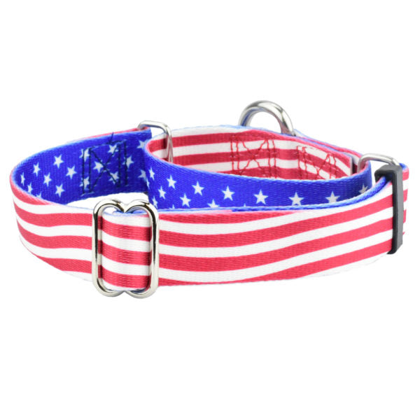 Star Spangled Martingale Dog Collar – EarthStyle 2 Hounds Design