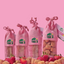 Strawberry Cheese Chews for Dogs STRAWBERRY YAK CHEESE CHEWS Yak9 Chews