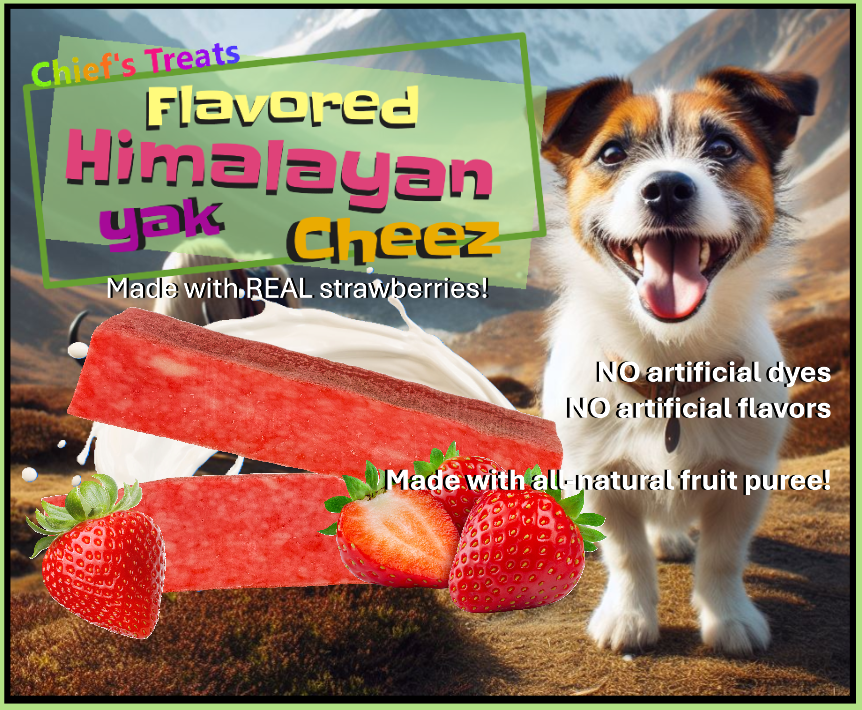 Strawberry Flavored Yak Cheese Chew - made with REAL STRAWBERRY Puree - Single One Yak Chew Chief’s Treats and Pet Supplies