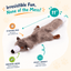 Crinkle Critters Stuffing-Free Dog Toy with Squeaker 11" Crinkle Raccoon Dog Toys Dogline