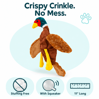 11" Chicken Crinkle Dog Toy Dog Toys Dogline