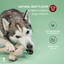 BetterBone MODERATE Chew Toy Dog Toys BetterBone All Natural Eco-Friendly Dog Chews & Bones