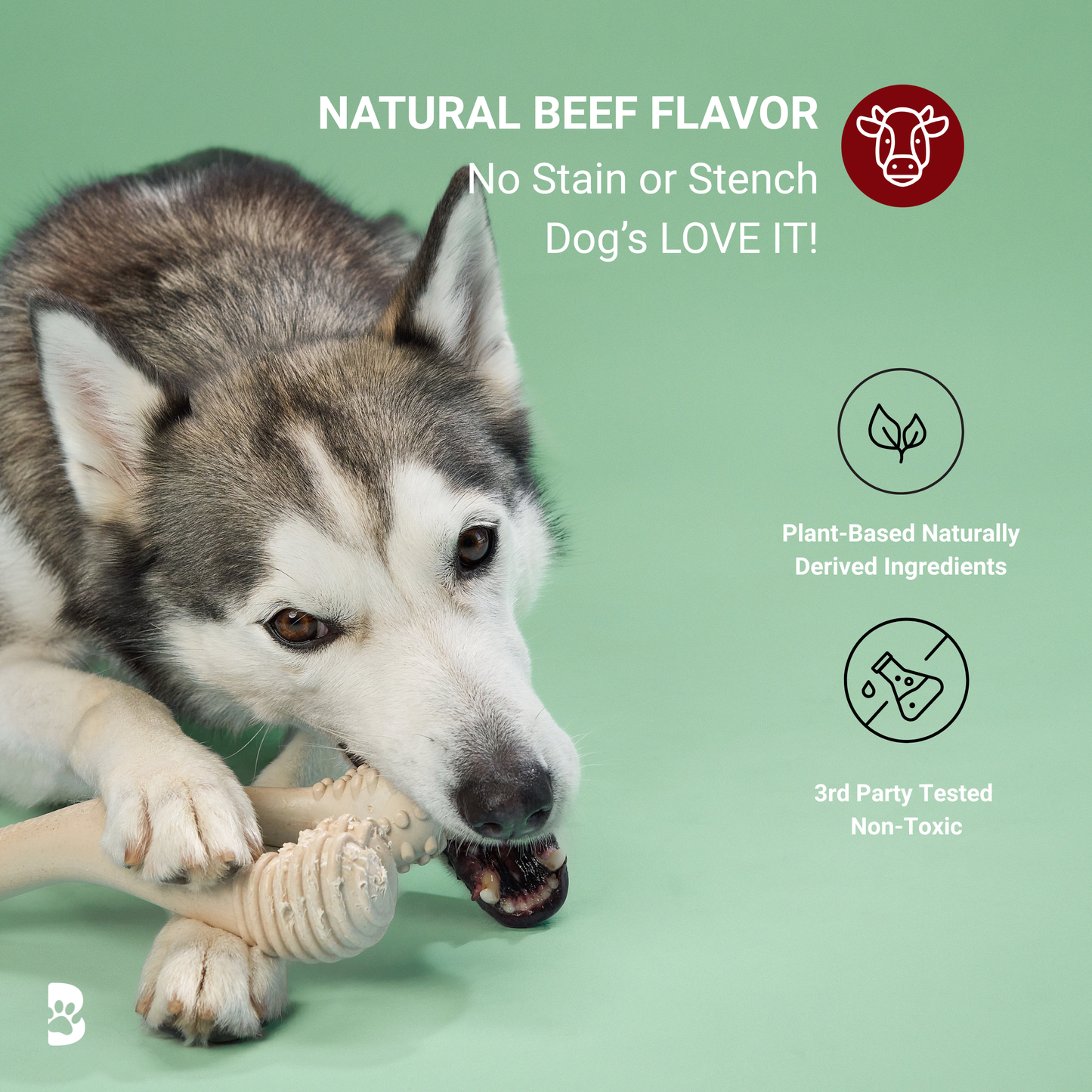 BetterBone MODERATE Chew Toy Dog Toys BetterBone All Natural Eco-Friendly Dog Chews & Bones