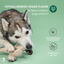 BetterBone MODERATE Chew Toy Dog Toys BetterBone All Natural Eco-Friendly Dog Chews & Bones
