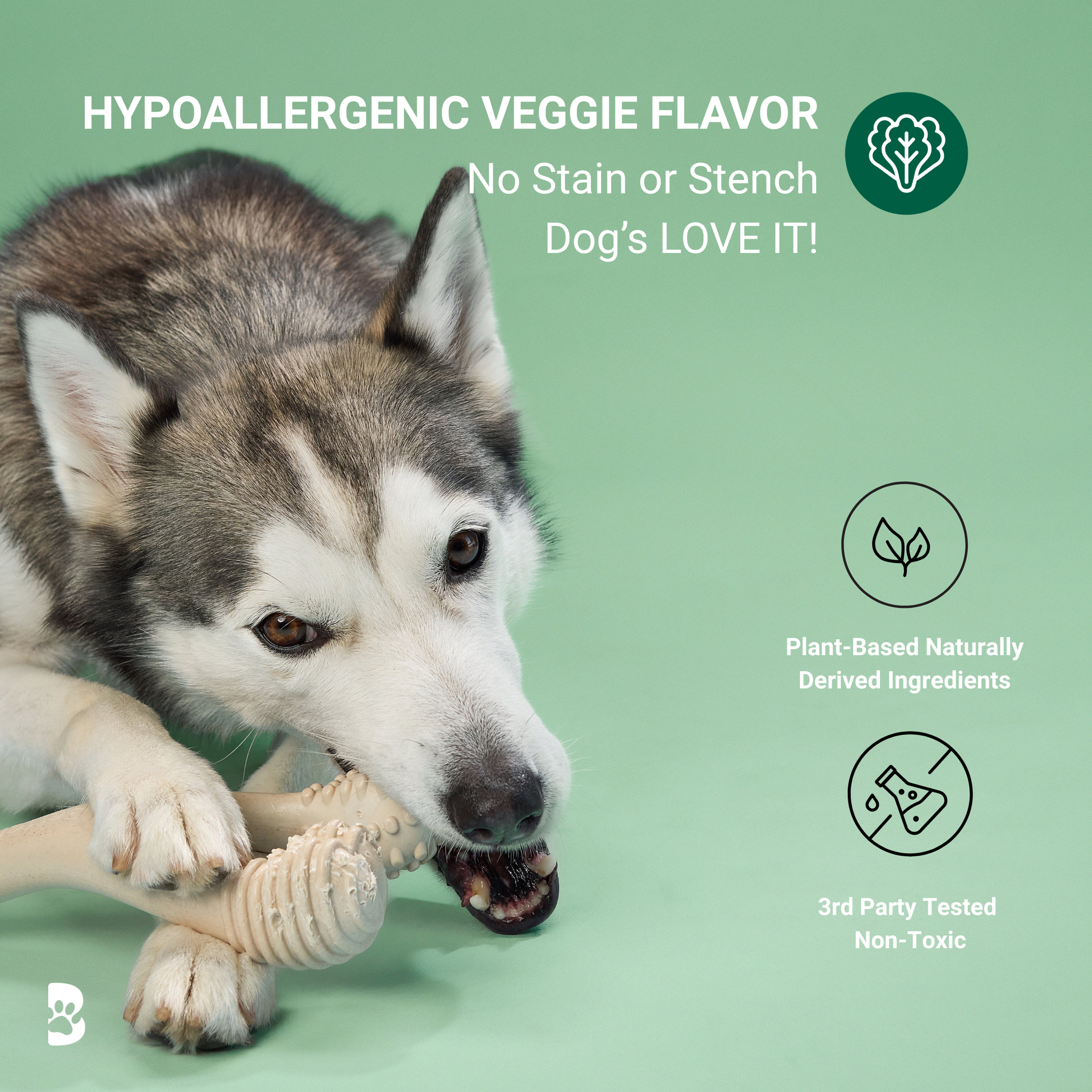 BetterBone MODERATE Chew Toy Dog Toys BetterBone All Natural Eco-Friendly Dog Chews & Bones