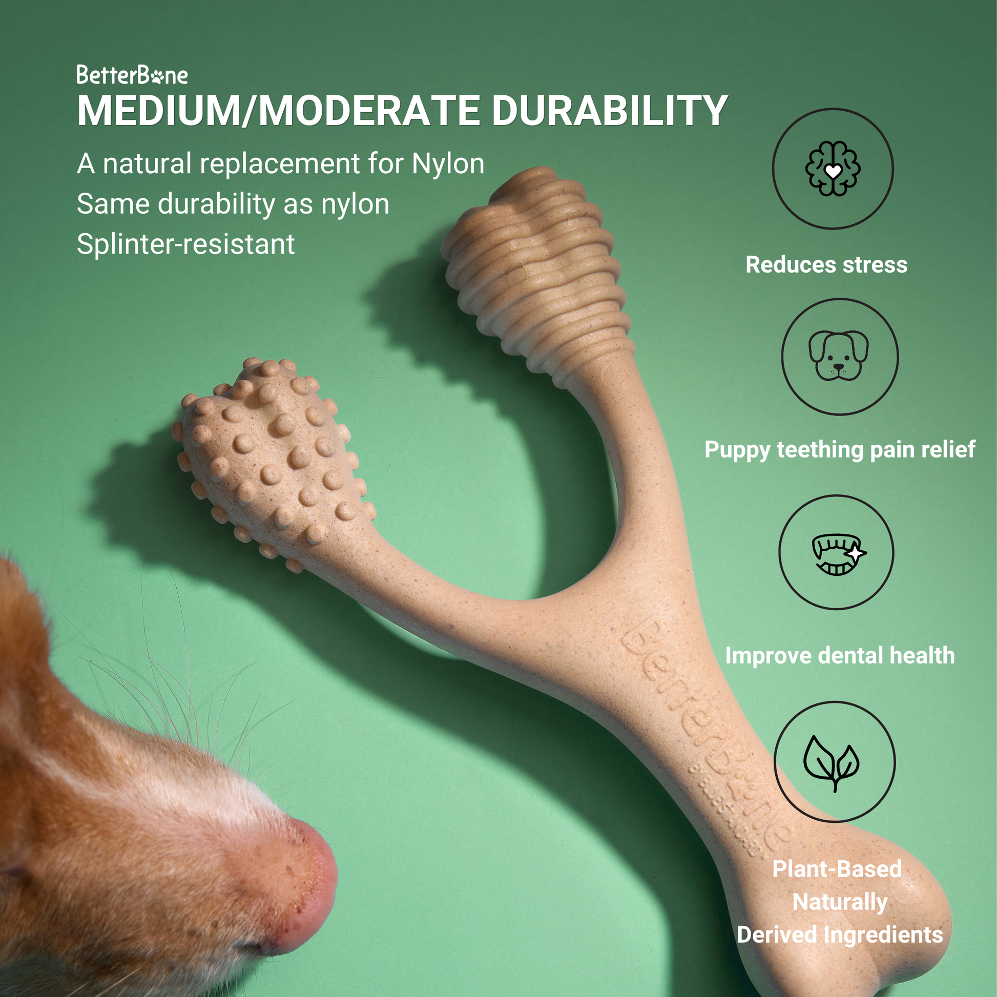 BetterBone MODERATE Chew Toy Dog Toys BetterBone All Natural Eco-Friendly Dog Chews & Bones