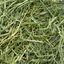 Rabbit Hole Hay Ultra Premium Coarse Timothy Hay Hay Rabbit Hole Hay