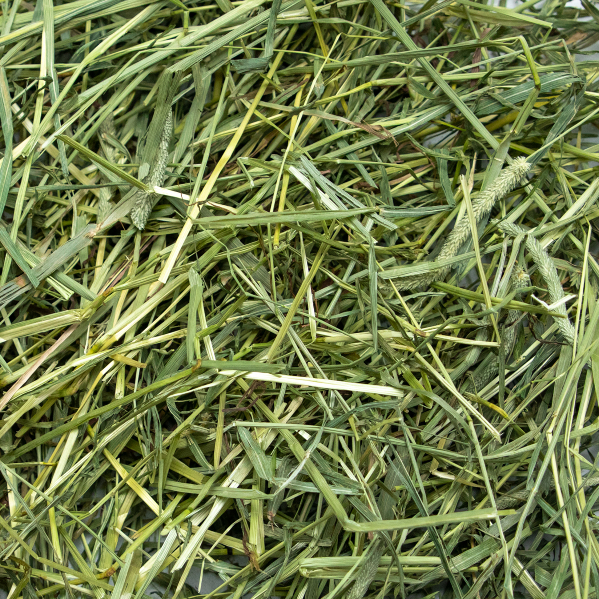 Rabbit Hole Hay Ultra Premium Coarse Timothy Hay Hay Rabbit Hole Hay