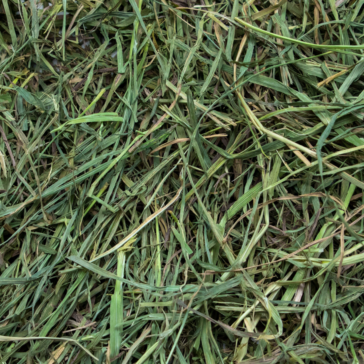 Rabbit Hole Hay Ultra Premium Soft Timothy Hay Hay Rabbit Hole Hay