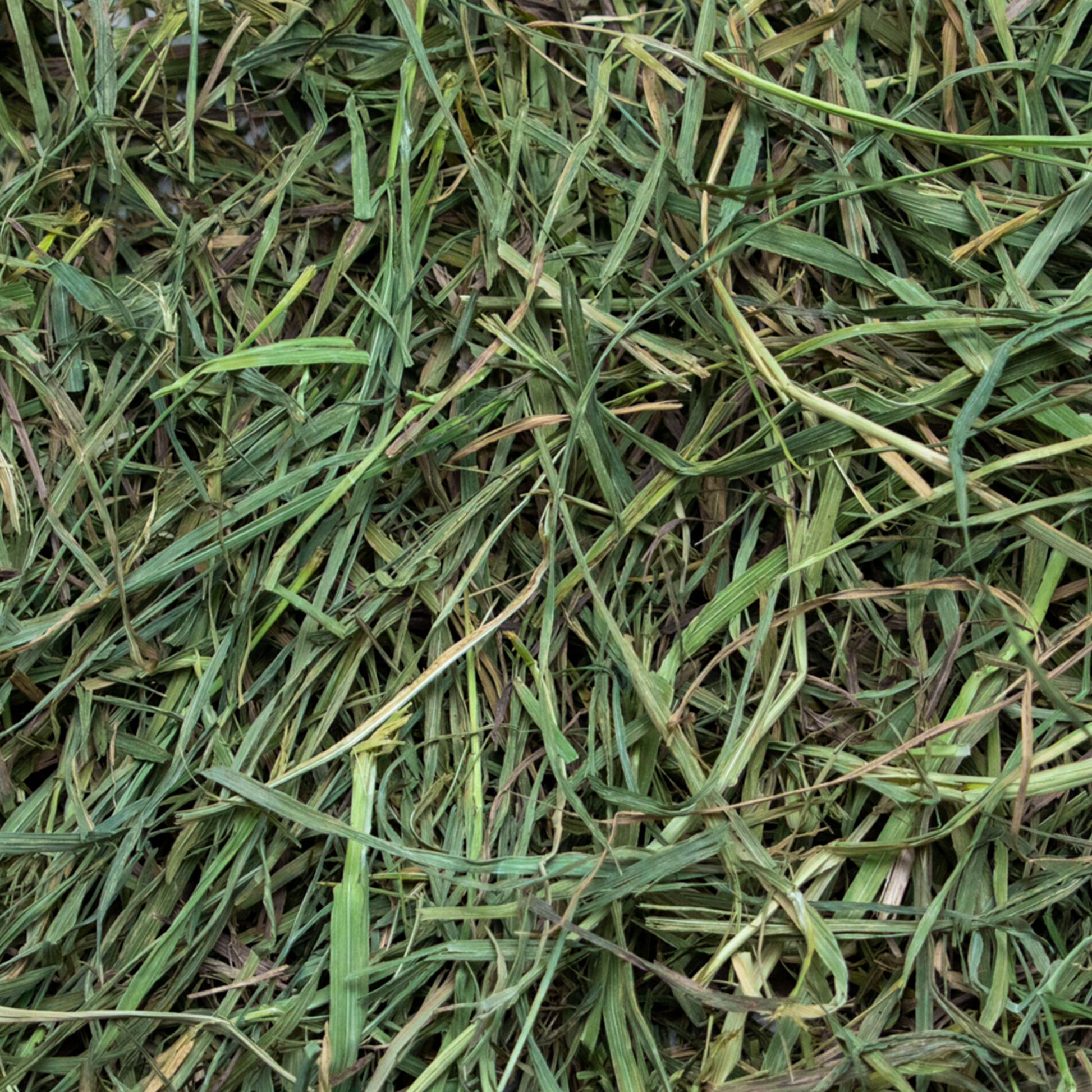 Rabbit Hole Hay Ultra Premium Soft Timothy Hay Hay Rabbit Hole Hay