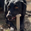 Tough Bone Nylon Chew Bone | Ultra-Durable Dog Toy for Aggressive Chewers | SodaPup