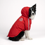 HydroHike Jacket Jacket The Wild Paw
