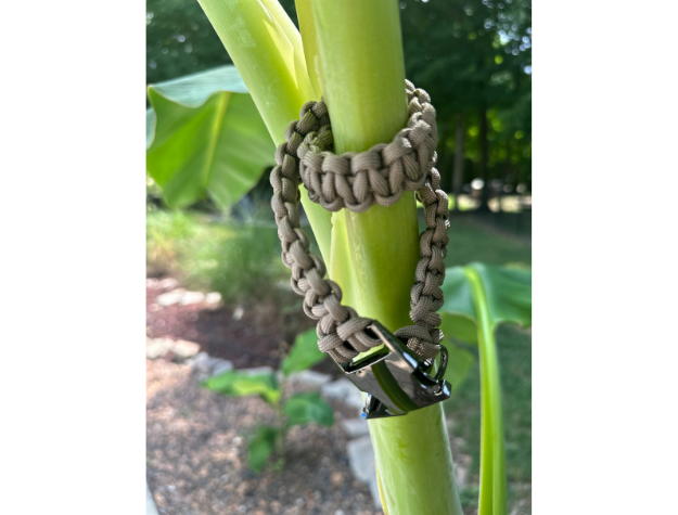 Cobra Braid in Tan - Handmade Dog Collar Handmade Braided Collars Pawsh Pup Co.