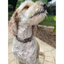 Cobra Braid in Tan - Handmade Dog Collar Handmade Braided Collars Pawsh Pup Co.