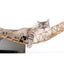 Cat Wall Bridge and Shelf Set Cat Bridge Catastrophic Creations