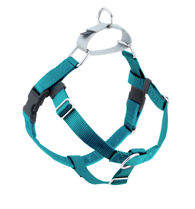 Teal Freedom No-Pull Dog Harness Freedom Harness 2 Hounds Design