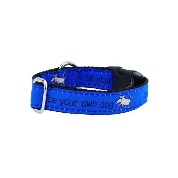 1″ Be Your Own Dog Teddy The Dog – Blue Essential Dog Collar 2 Hounds Design