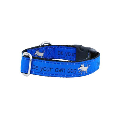 1″ Be Your Own Dog Teddy The Dog – Blue Essential Dog Collar 2 Hounds Design