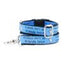 1″ Friends Don’t Let Friends Fetch Teddy The Dog Essential Martingale Dog Collar 2 Hounds Design