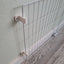 C&C Cage Wall Mount Brackets - Long Design (4-Pack) – Guinea Pigs, Ferrets & Small Pets Pet Hardware Bunny Business