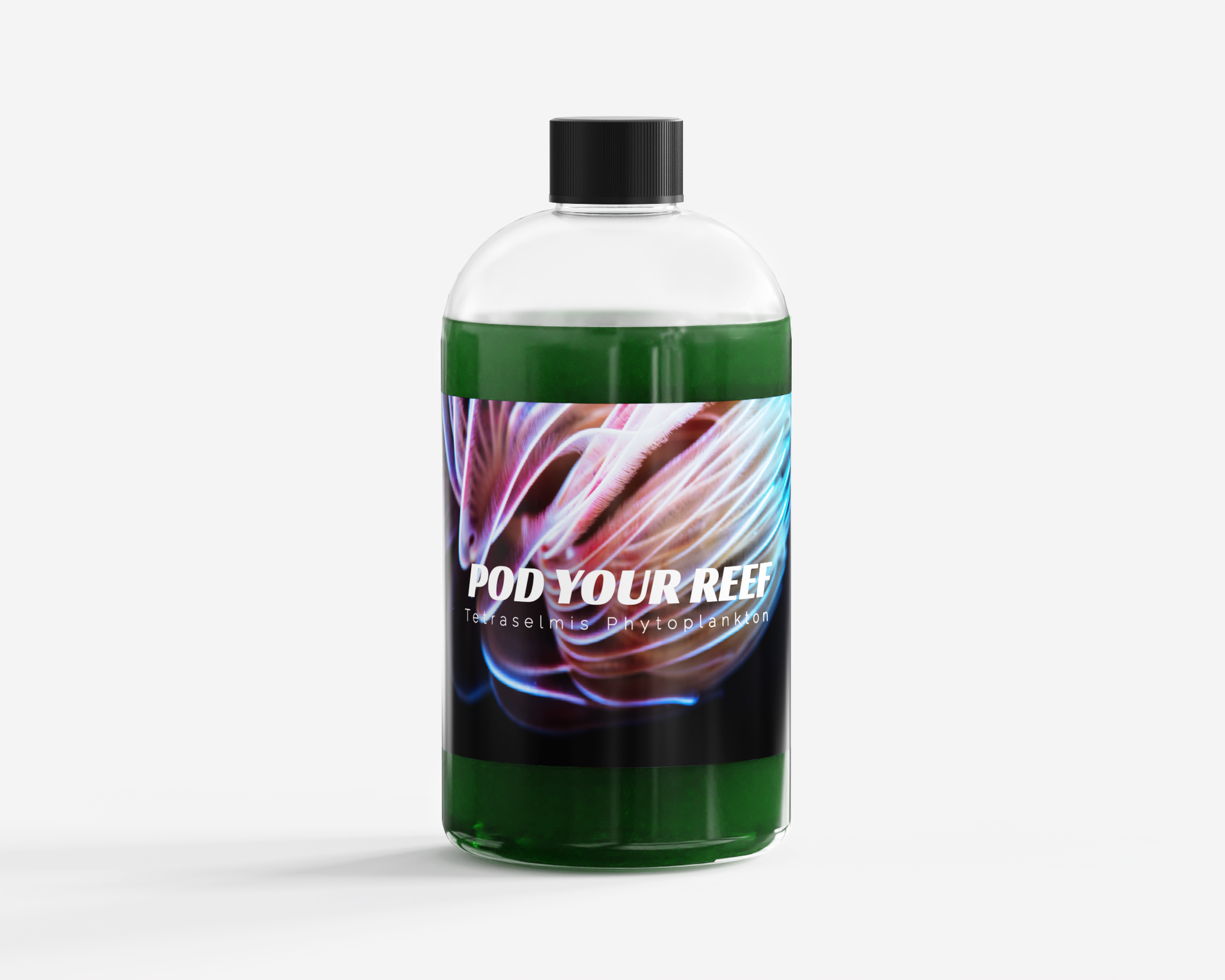 Tetraselmis chui Phytoplankton Phytoplankton Pod Your Reef