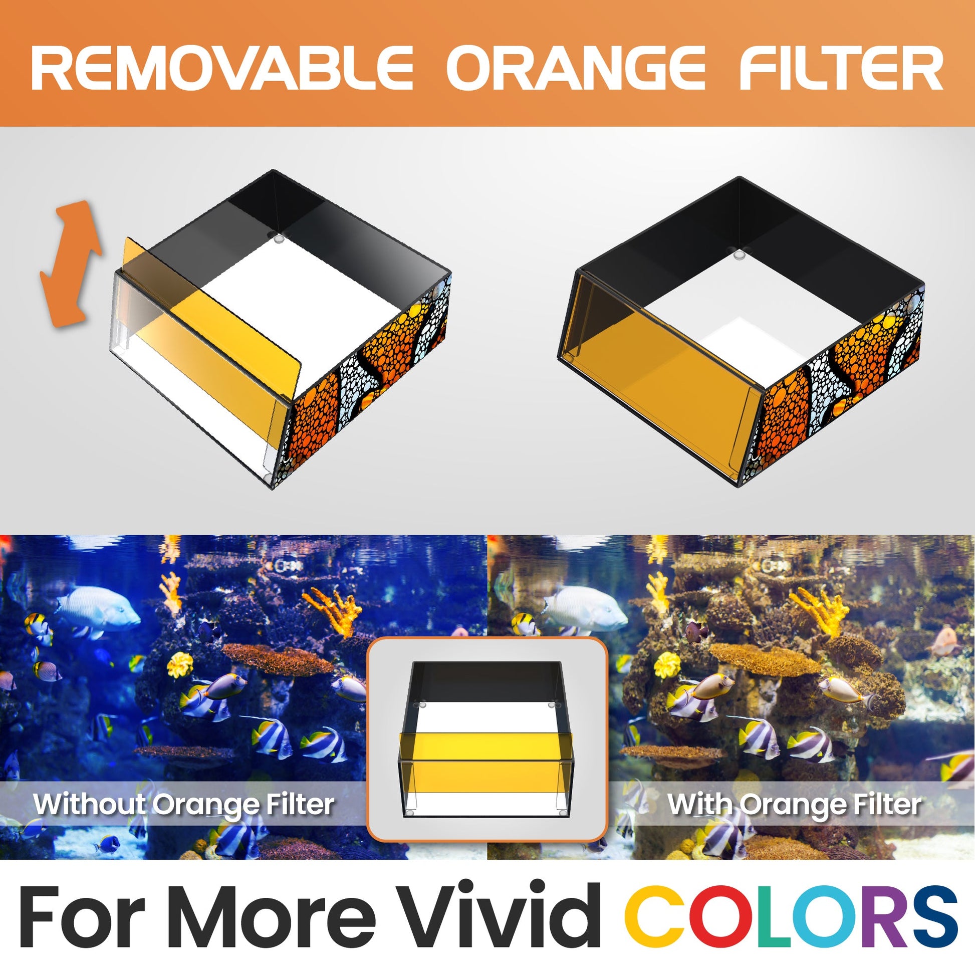 Top Down Viewer Clownfish - 8" panel Show Flipper Aquarium Products