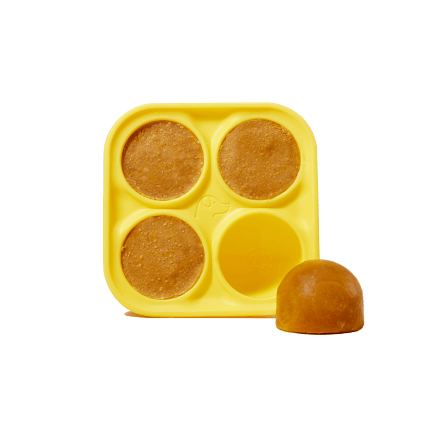 Pupsicle Treat Tray Bowls and Dishes Woof Pet