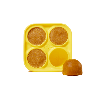 Pupsicle Treat Tray Bowls and Dishes Woof Pet