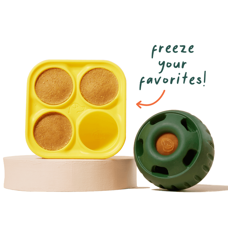 Pupsicle Treat Tray Bowls and Dishes Woof Pet