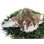 Fertile Quail Eggs – Choose Your Variety Celadon Fertile Quail Eggs Buddys Hatchery