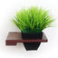 Cat Plant Stand for Wall English Chestnut Bamboo Standalone Shelf Cat shelves/bed Catastrophic Creations