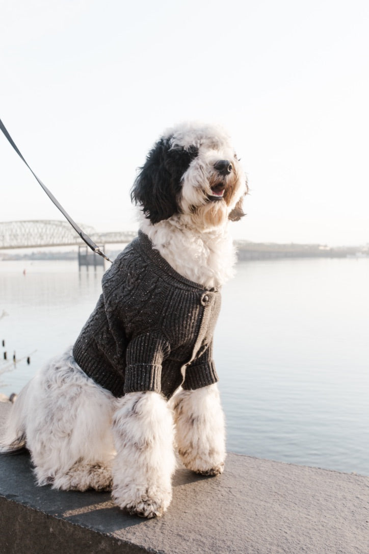 Brooklyn Cashmere Cardigan, Charcoal XL Sweaters BESPOKE PAWS