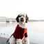 Brooklyn Cashmere Cardigan, Garnet XL Sweaters BESPOKE PAWS